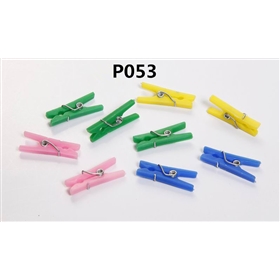 P053