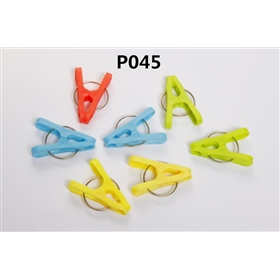 P045