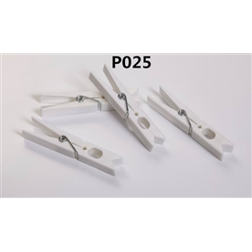 P025