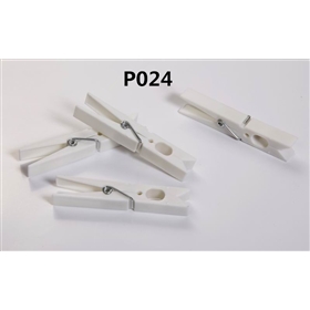 P024