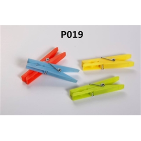 P019