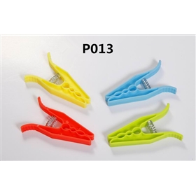 P013