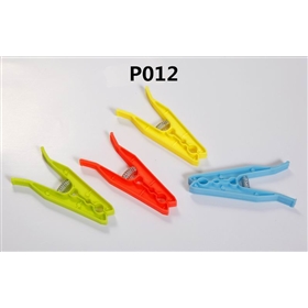 P012